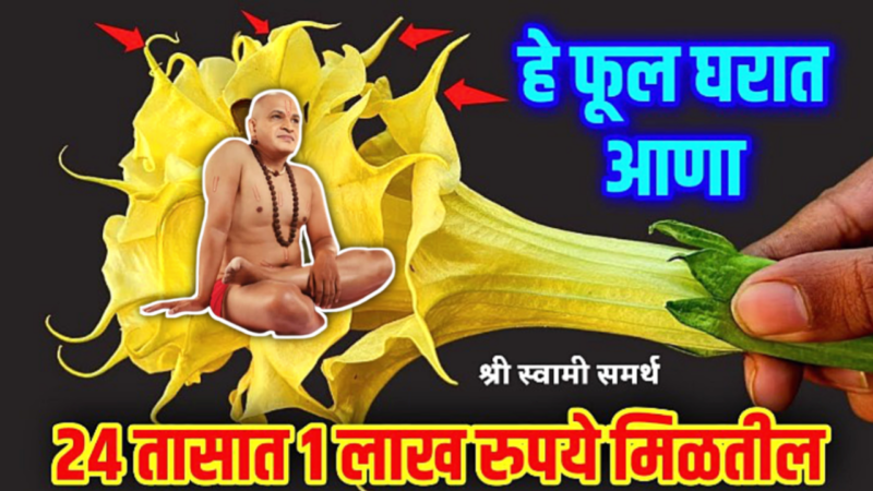 घरी आणा हे 1 फूल, सर्व कामे त्वरित पूर्ण होतील…