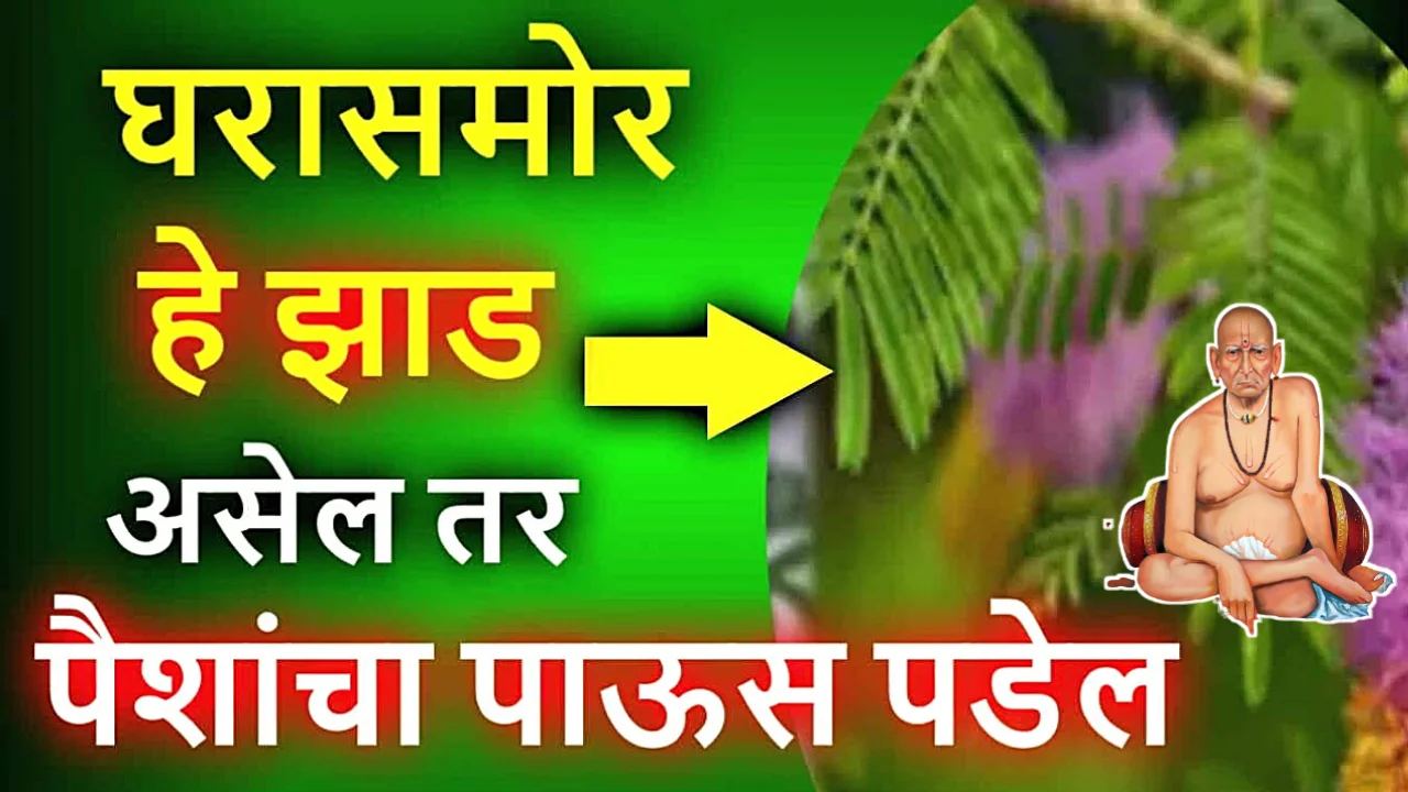 घरासमोर असेल हे 1 झाड तर होईल असंख्य लाभ…