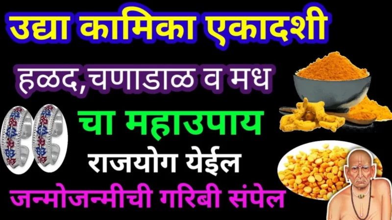 कामीका एकादशी हा हळदीचा उपाय तुम्हाला श्रीमंतांच्या पंक्तीत बसवेल…