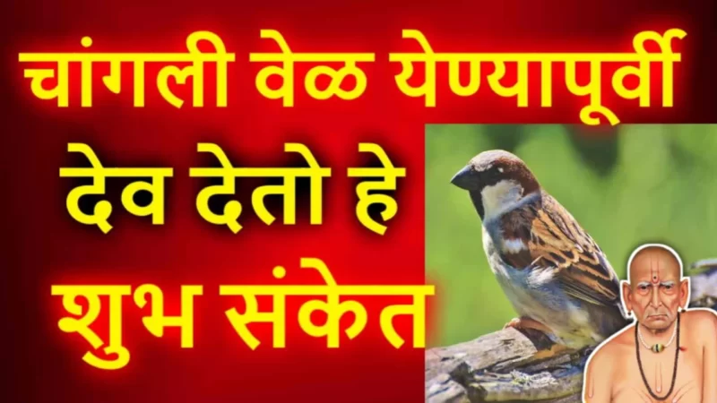 चांगली वेळ येण्यापूर्वी देव देतो हे संकेत, तुमची आता गरिबीतून कायमची सुटका होणार हे समजून जा…