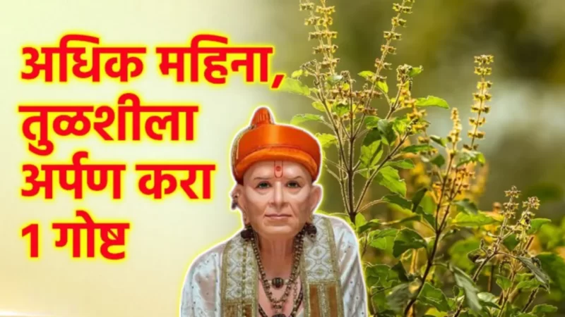 अधिक महिन्यात तुळशीला अर्पण करा ही 1 वस्तू, तुमच्या जीवनाचं सोन होईल…