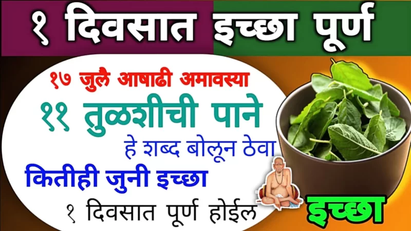 17 जुलै, आषाढी अमावस्या, तुळशीची पाने ठेवा इथे, चिक्कार पैसा मिळेल…