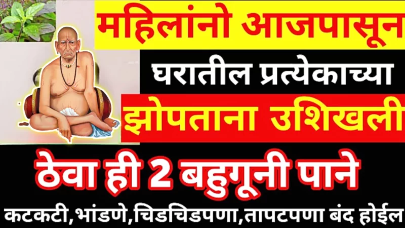 झोपताना प्रत्येकाच्या उशीखाली ठेवा हे पान, कोणतीच समस्या जवळ येणार नाही…