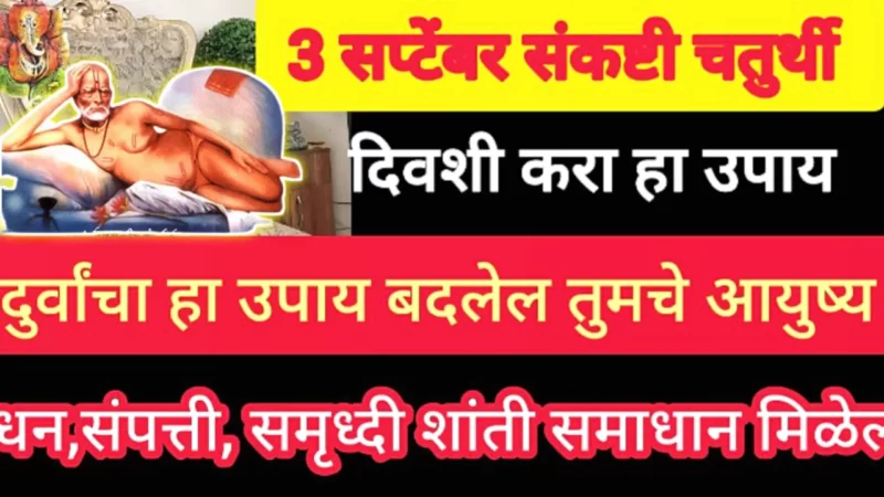 3 सप्टेंबर, श्रावण संकष्टी चतुर्थी , दुर्वांचा उपाय तुम्हाला रात्रीत करोडपती बनवेल…