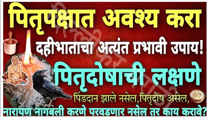 पितृपक्षात इथे ठेवा दही भात, धनप्राप्ती इतकी होईल की …..