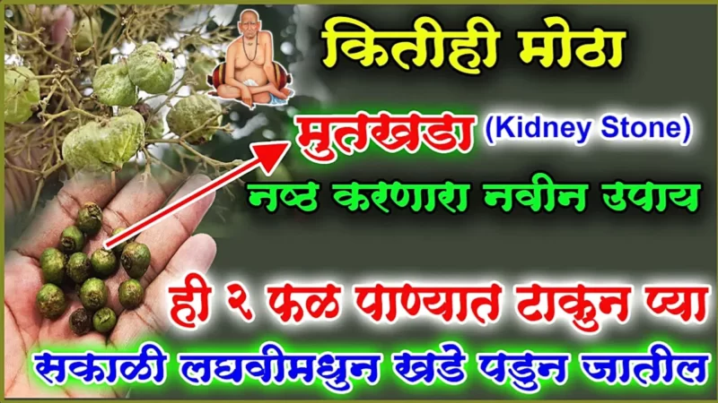 कसलाही मुतखडा कोणत्याही त्रासाशिवाय विरघळून जाईल कळणार पण नाही…