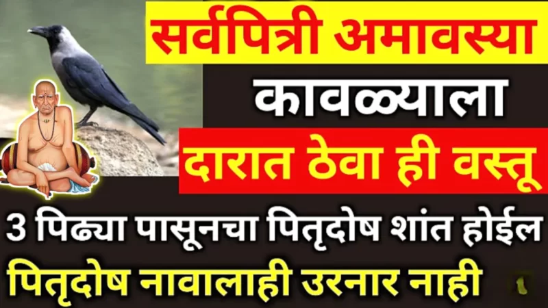 सर्वपित्री अमावस्या, कावळ्याला दारात खाऊ घाला हे वस्तू, 7 जन्माची गरिबी पळून जाईल….