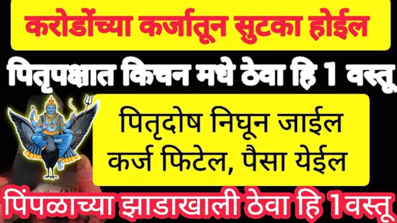 आजपासून पितृपक्षात रोज किचनमध्ये ठेवा ही वस्तू, पिंपळाच्या झाडाला अर्पण करा ही वस्तू…