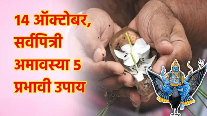 14 ऑक्टोबर, सर्वपित्री अमावस्येला करा असे उपाय की ज्यामुळे प्रगती कधीच थांबणार नाही…