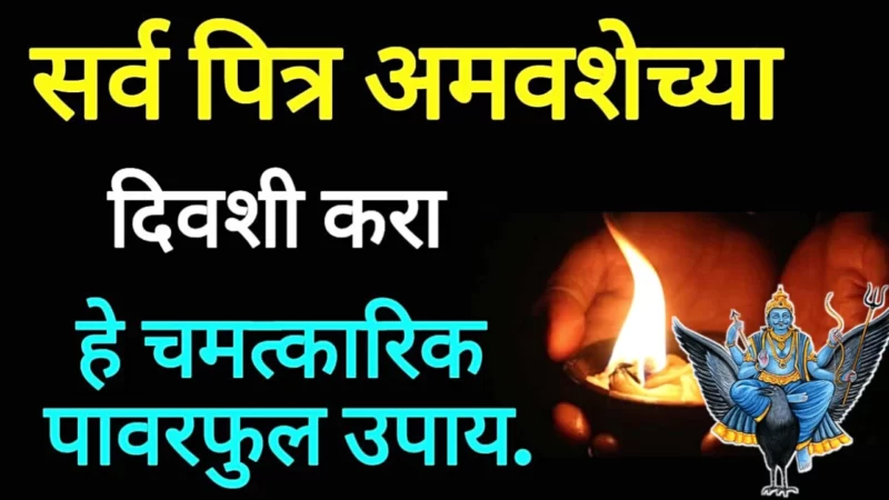 सर्वपित्री अमावस्येला करा हे चमत्कारिक उपाय…