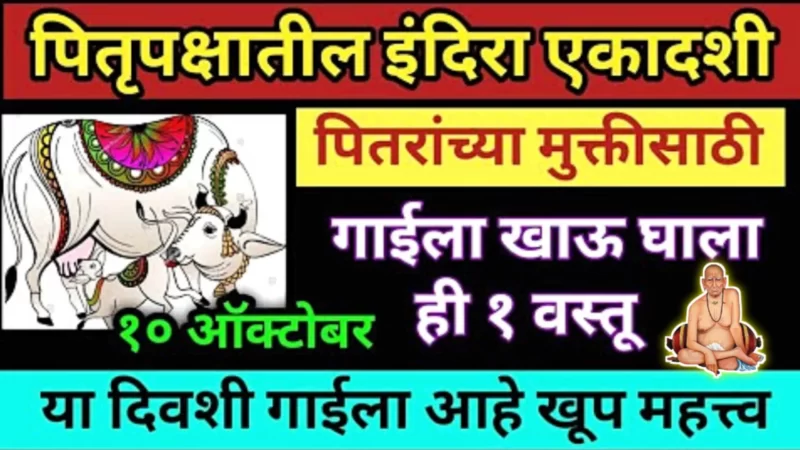उद्या इंदिरा एकादशी, गायीला खाऊ घाला ही वस्तू, पितरांना मुक्ती मिळेल…