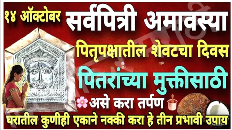 14 ऑक्टोबर, सर्वपित्री अमावस्या, करा फक्त असे तर्पण, पितृ खुश होऊन निरोप घेतील…