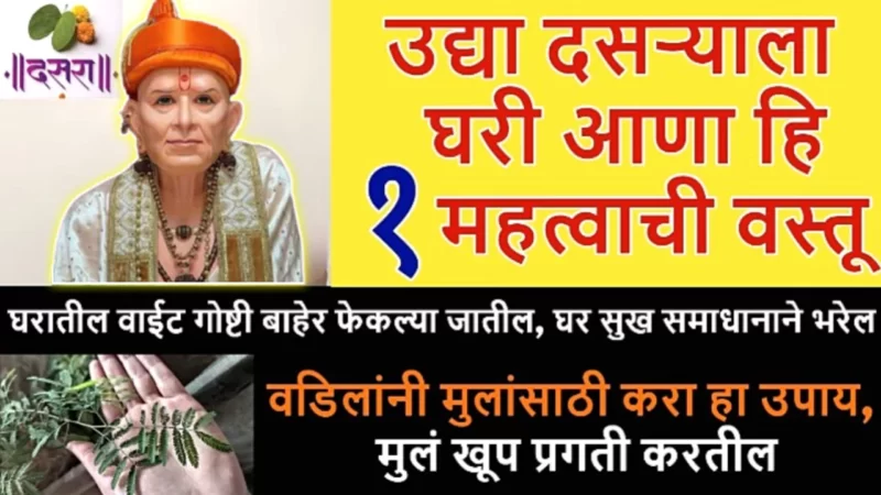 दसऱ्याच्या दिवशी घरी आणा ही 1 वस्तू, आयुष्याचं सोनं होईल..