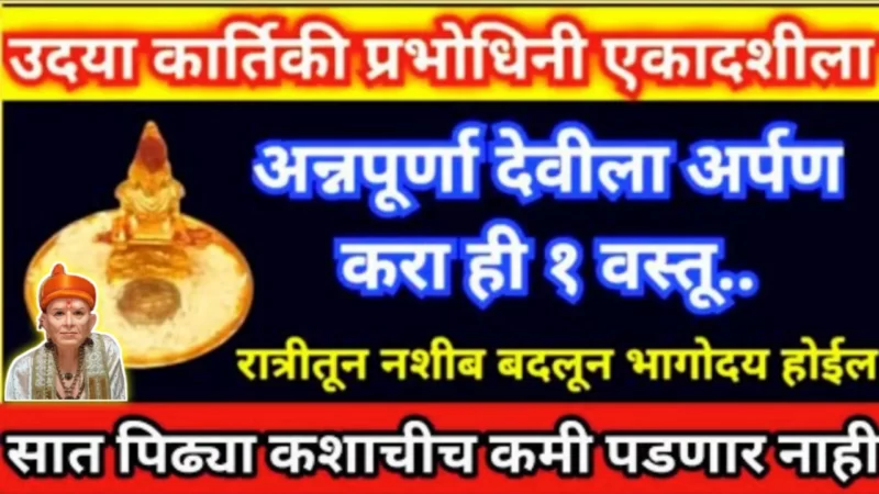 Offer this 1 item to Annapurna Devi