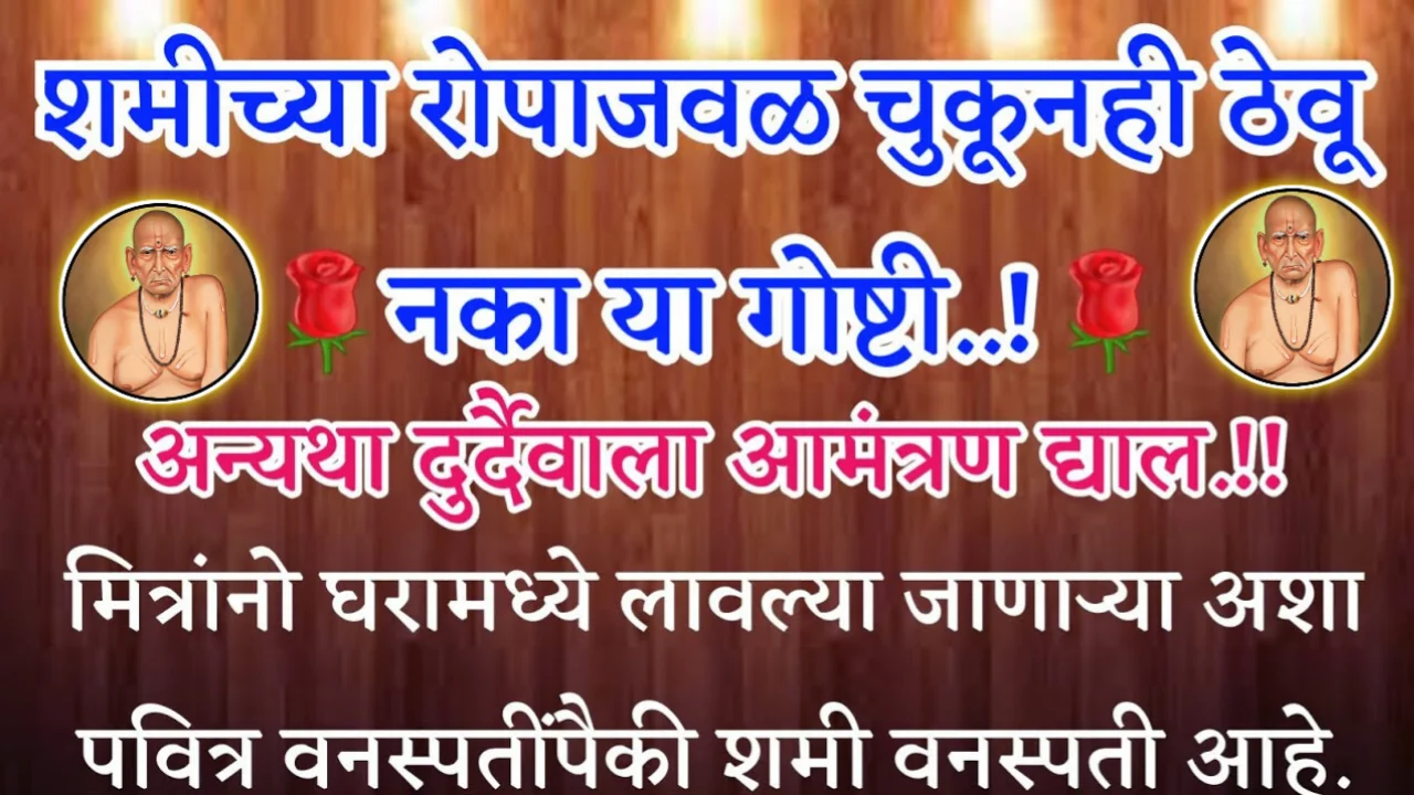 शमीच्या रोपाजवळ चुकूनही ठेवू नका या गोष्टी…