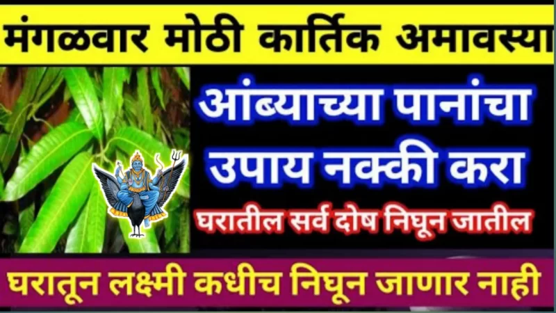 remedy for big Kartik Amavasya
