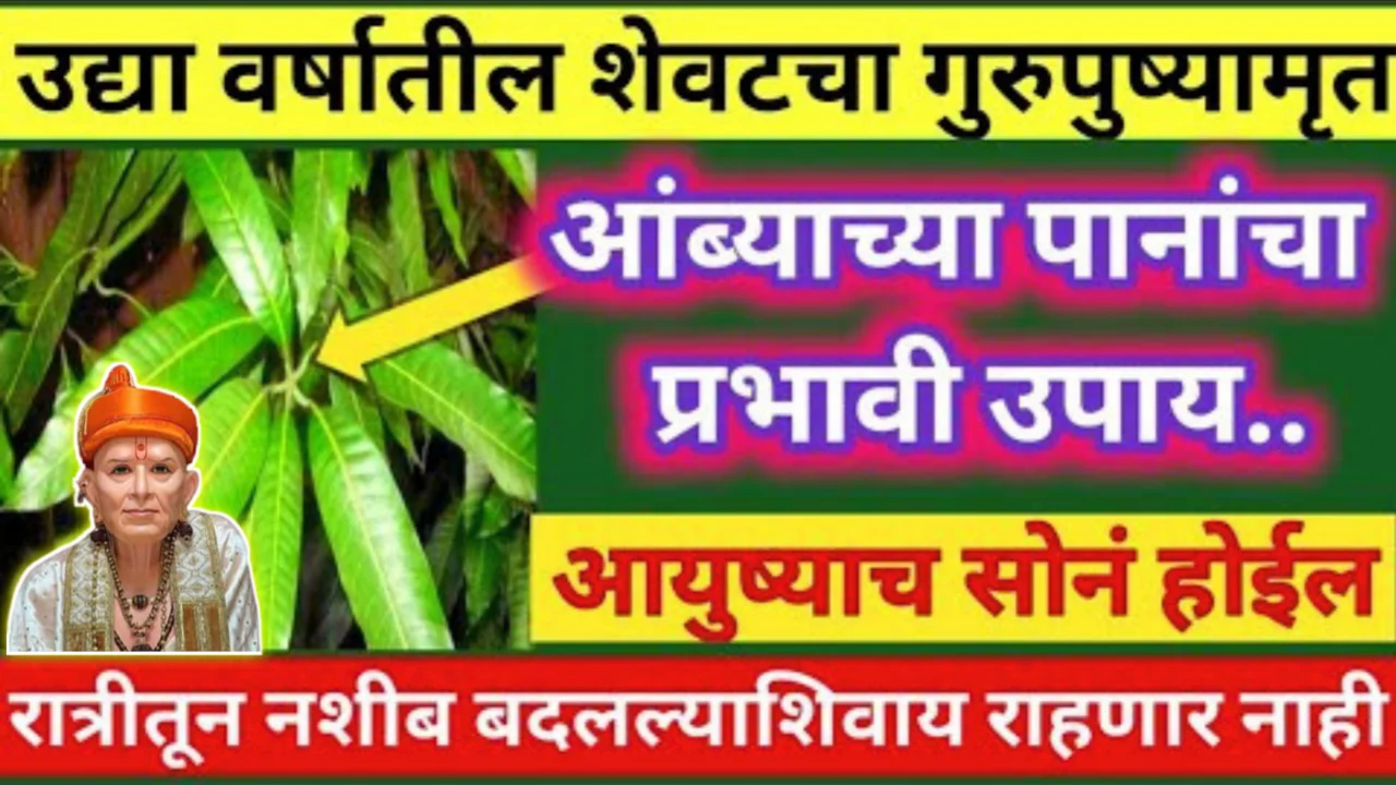 उद्या वर्षातील शेवटचा गुरुपुष्यमृत योग आंब्याच्या पानांचा उपाय, घराची, मुलांची, पतीची प्रगती होईल…