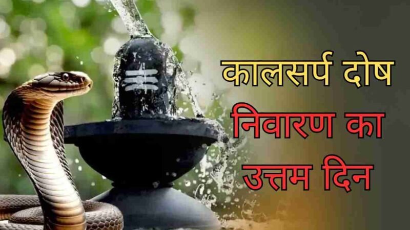 Nag Panchami 2025: नाग पूजा से मिलेगा संकटों से छुटकारा! जानिए पूजा विधि, शुभ मुहूर्त और कालसर्प दोष से मुक्ति के उपाय