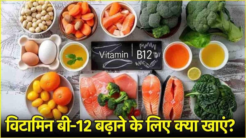 Vitamin B12 Foods: इन 5 वेजिटेरियन फूड्स से बढ़ाएं विटामिन-बी12 लेवल, शरीर की कमजोरी होगी दूर
