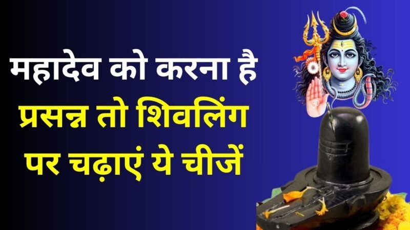 क्या आप भी चाहते हैं पैसा, शांति और समृद्धि? जानिए शिवलिंग पर चढ़ाएं ये विशेष रस और पाएं आर्थिक बाधाओं से मुक्ति और सकारात्मक ऊर्जा