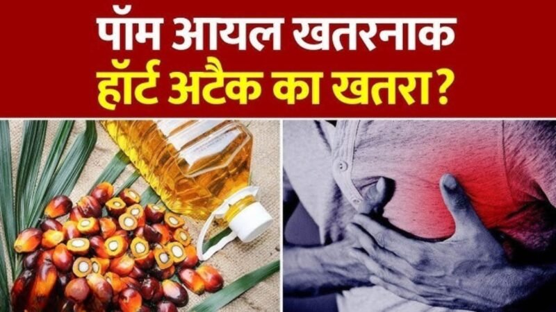 Palm Oil Side Effects in Hindi: बच्चों से बड़ों तक सभी की सेहत के लिए खतरा? जानें सच